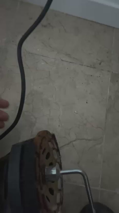 🔥Surfaceuse sol et mur avec bras+ Disque 150mm